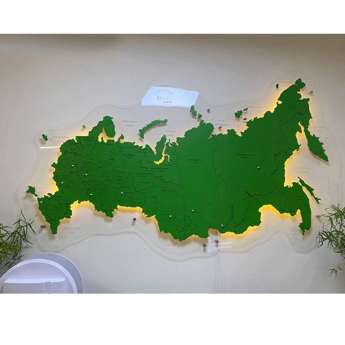 Corporate world map made of precious wood 3D to order